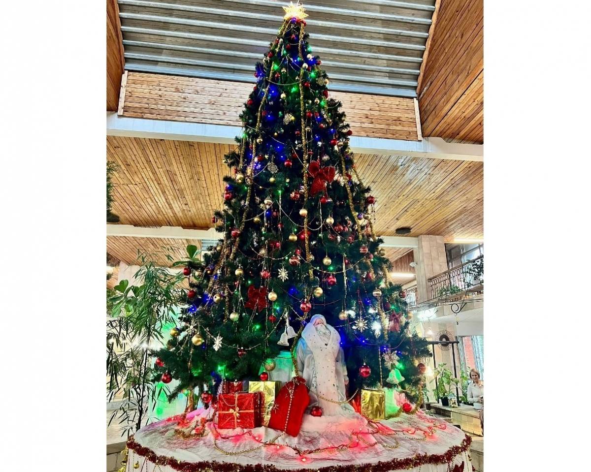 Ёлка в зимнем саду больницы