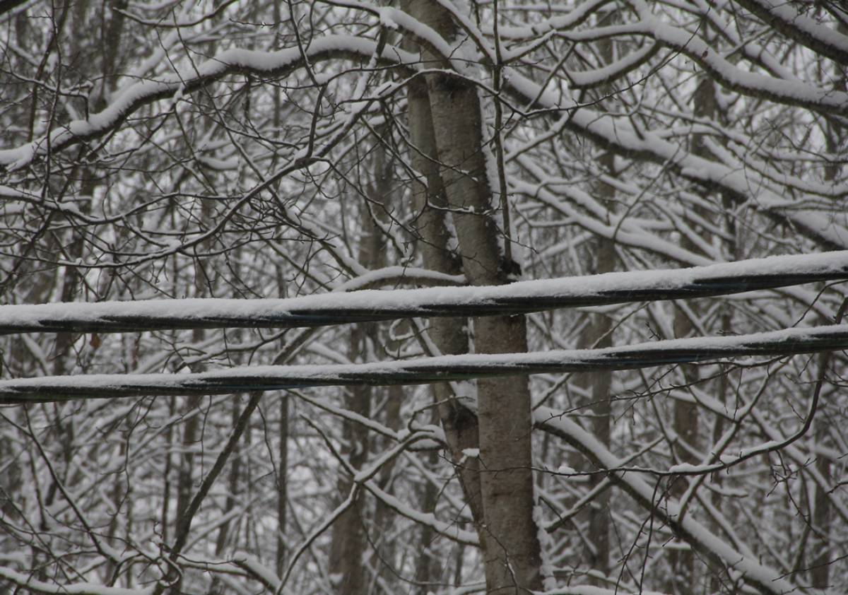 51 бригада энергетиков устраняет последствия снегопада на Новгородчине