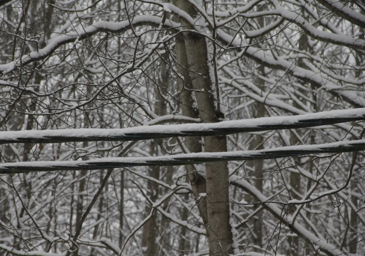47 бригад энергетиков устраняют последствия снегопада на Новгородчине