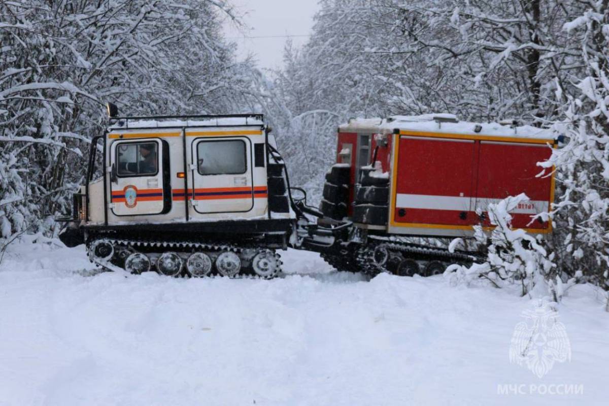 Фото: MAX Александра Дронова