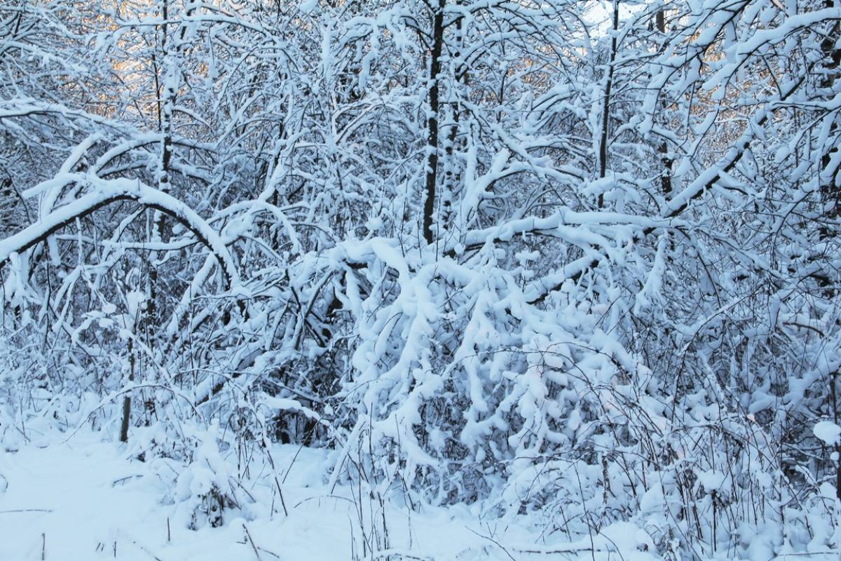 1 января после снегопадов