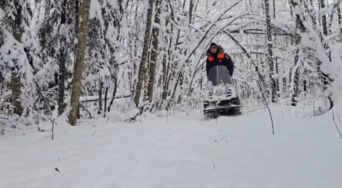 Кадр видео МЧС