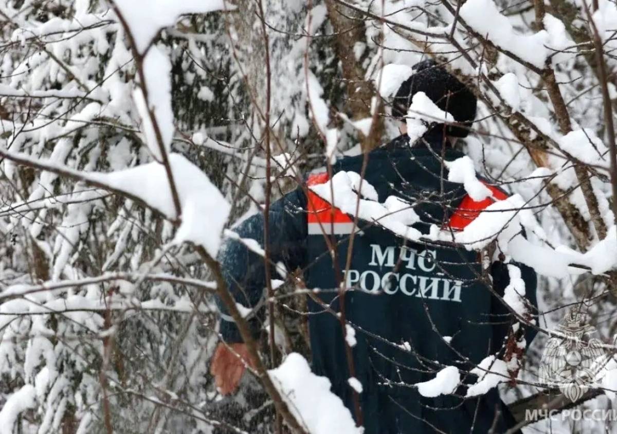 Энергетики продолжают аварийные работы на Новгородчине в тяжёлых условиях