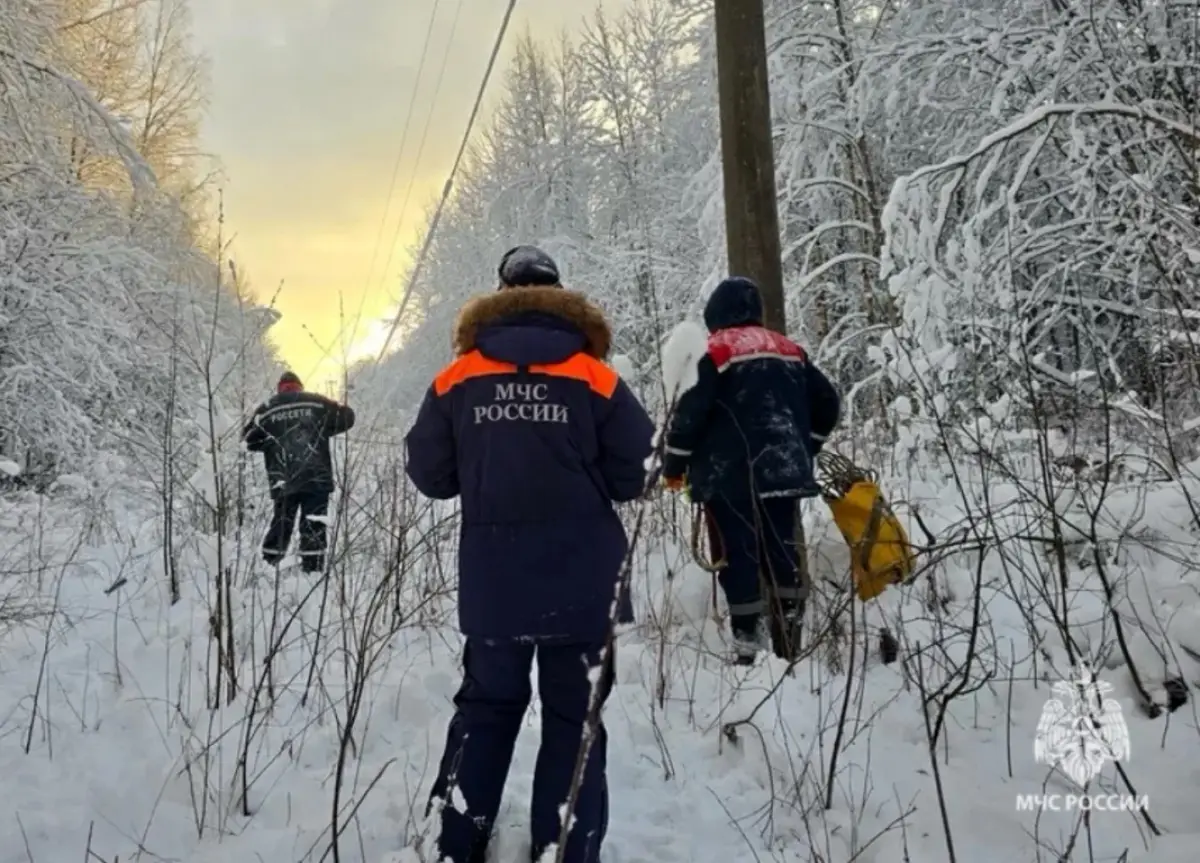 Три тысячи жителей Новгородчины пока остаются без электроэнергии
