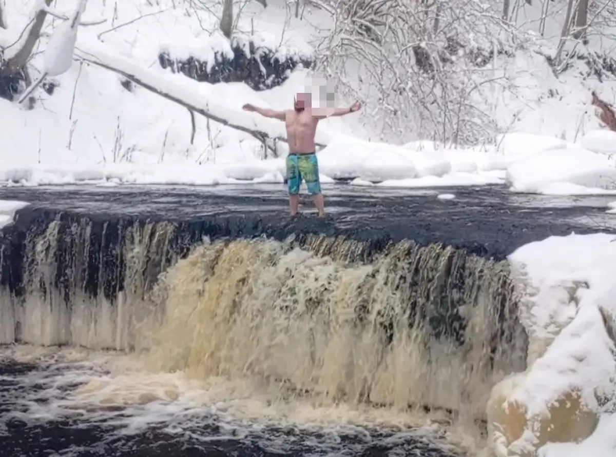 На любытинских водопадах заметили моржей