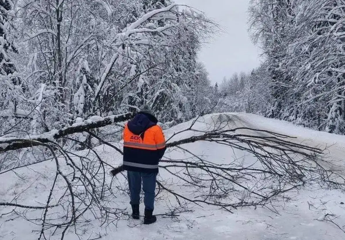 В Новгородской области ожидается ухудшение погоды