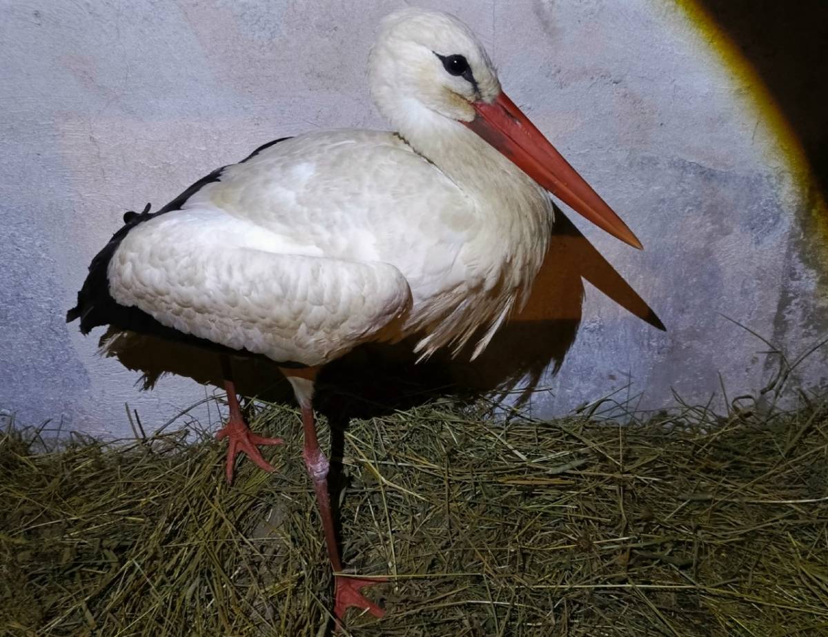 Фото со страницы Дмитрия Графова