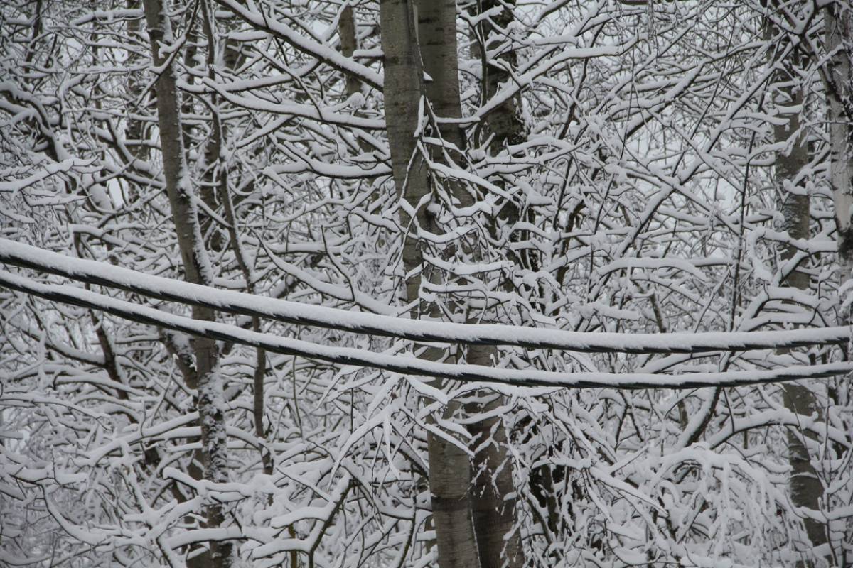 Энергетики вернули свет 3300 жителям Новгородской области