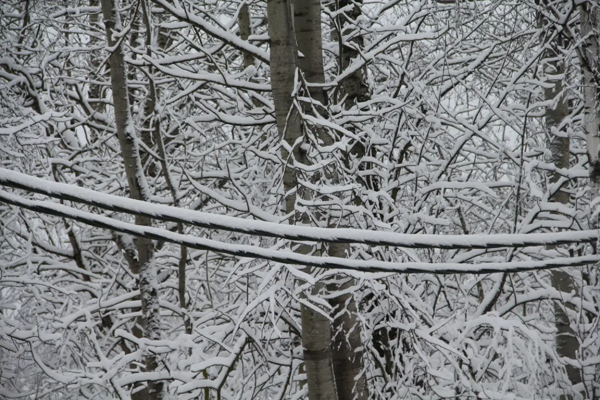 Энергетики вернули свет 3300 жителям Новгородской области