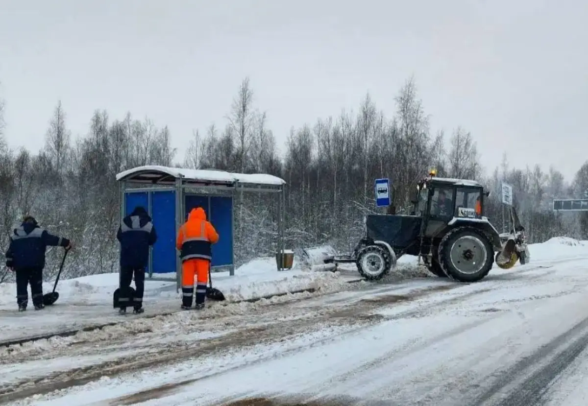 Жители Новгородчины смогут позвонить на горячую линию по содержанию дорог