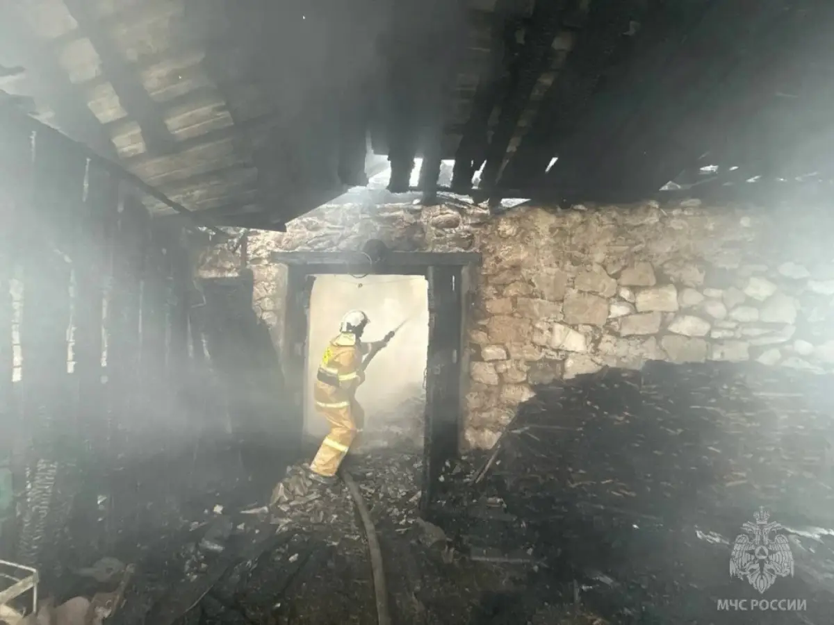 Работница боровичской конюшни пострадала, пытаясь спасти лошадей из огня