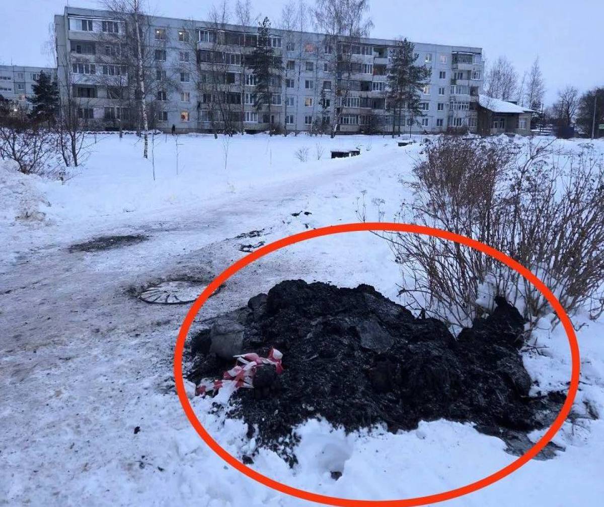 Фото: ТГ-канал Елены Комаровой