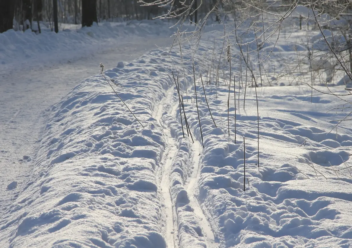 В Новгородской области ударят 30-градусные морозы