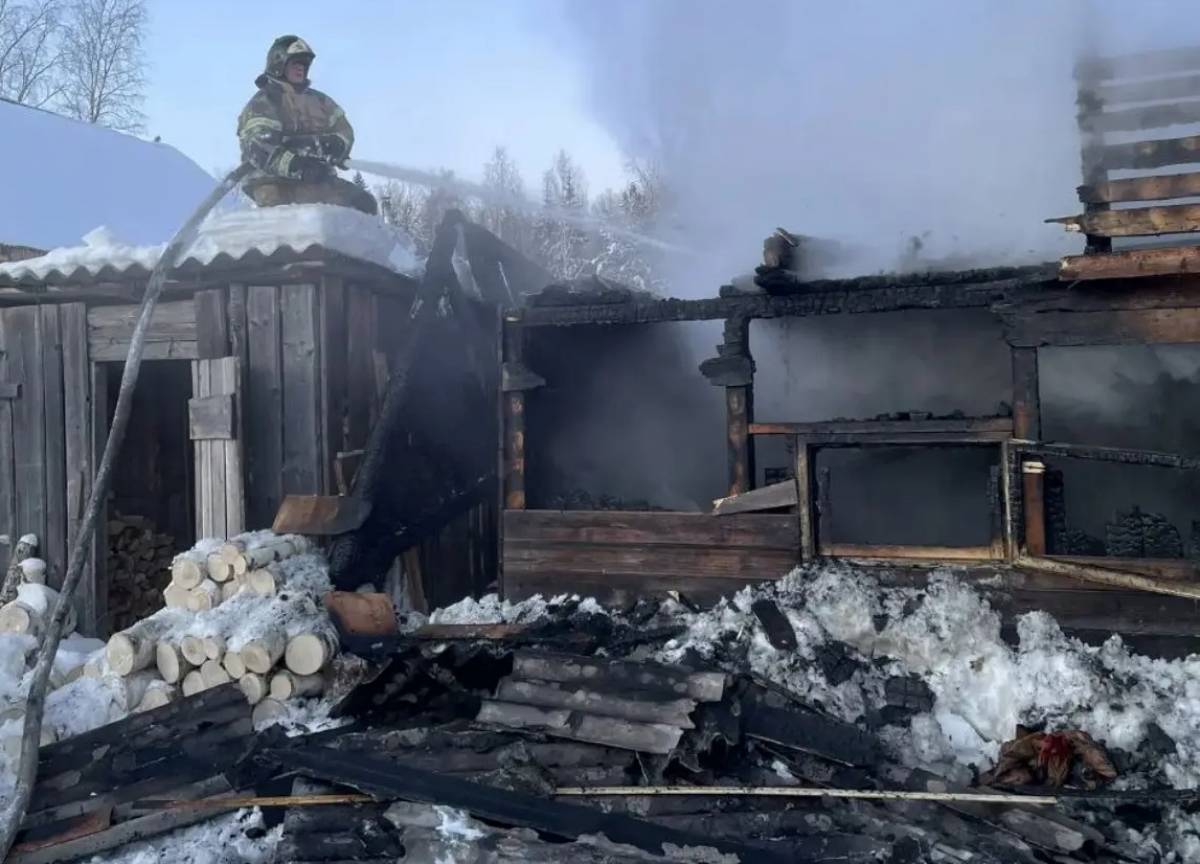 Две бани загорелись на улице Новгородской в Сольцах в один день