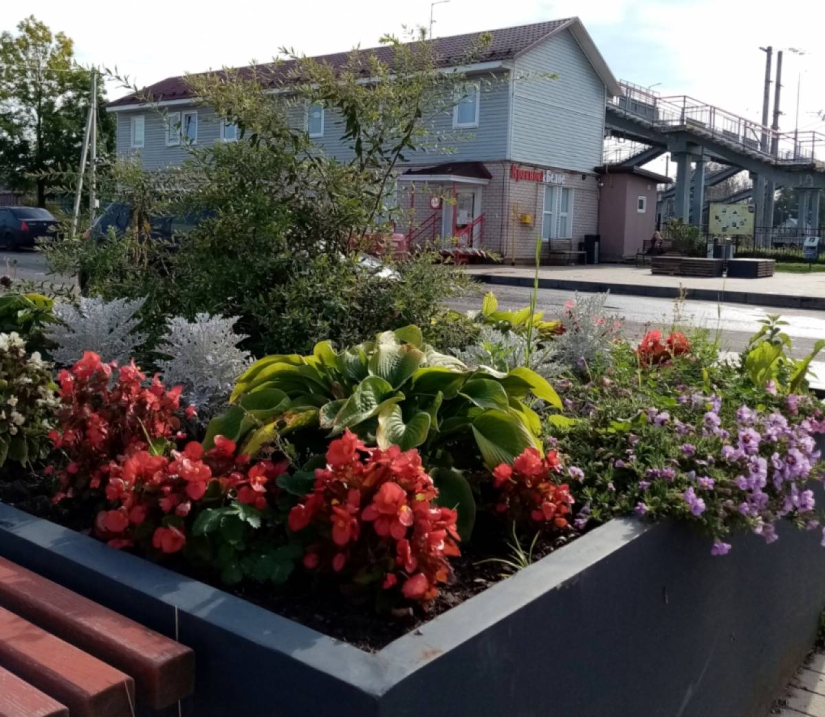 Фото из личного архива Татьяны Гринберг