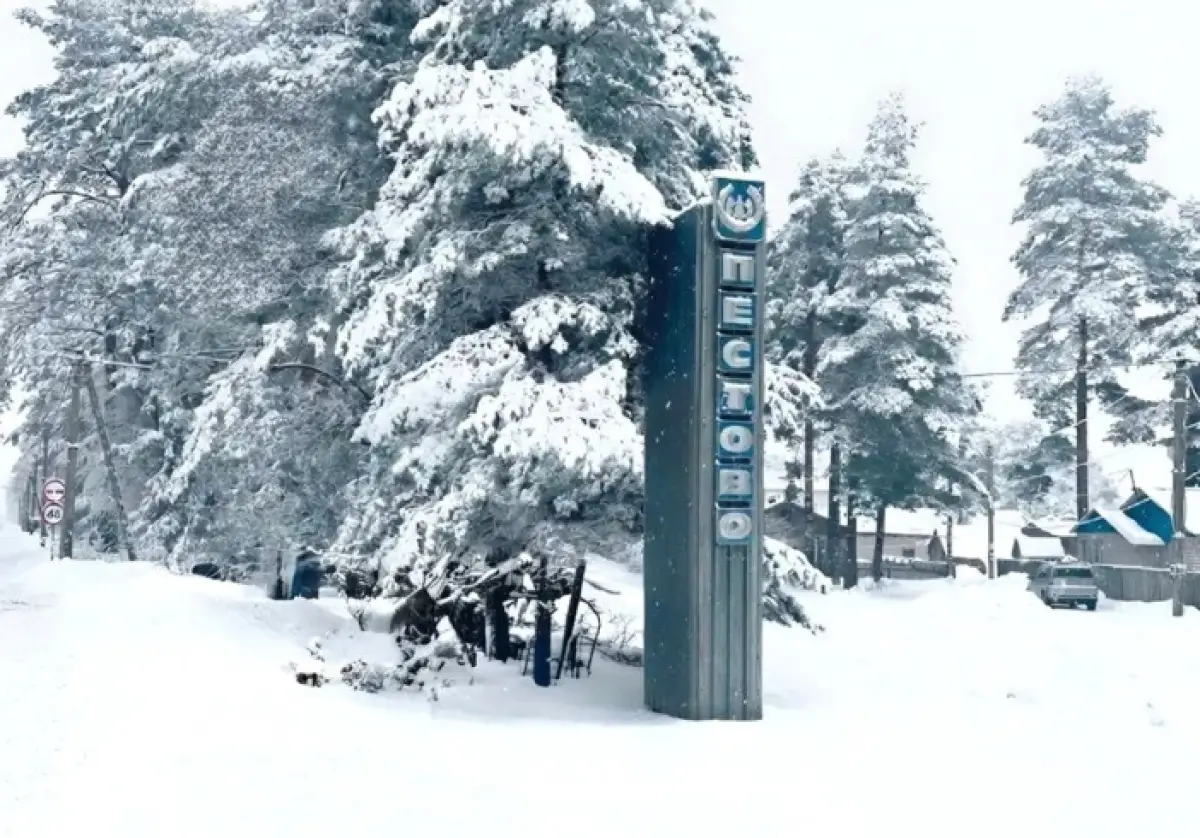 Малый бизнес в Пестовском округе предложит землякам более 150 рабочих мест