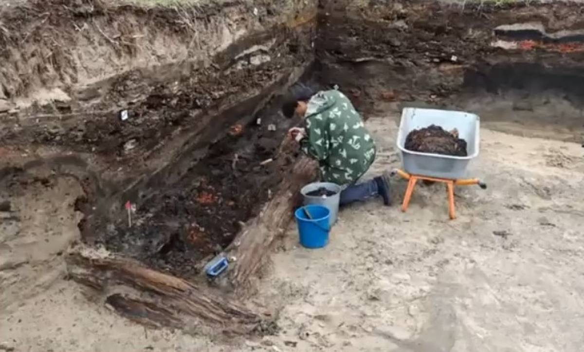 Иллюстрации: кадры трансляции лекции