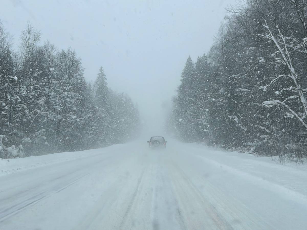 Фото минтранса Новгородской области