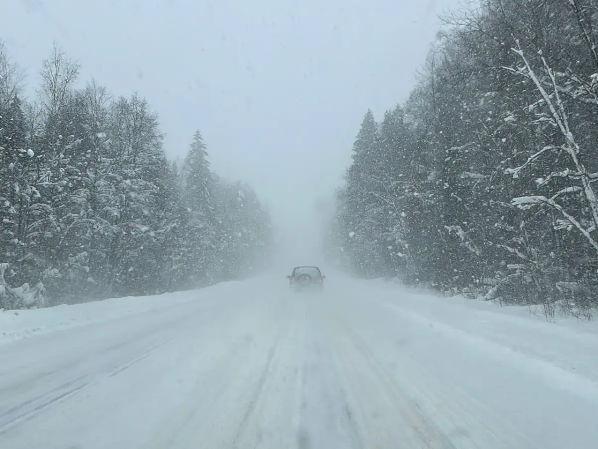 В Новгородской области продолжаются сильные снегопады