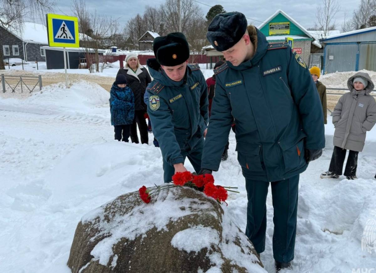 Фото: ГУ МЧС по Новгородской области