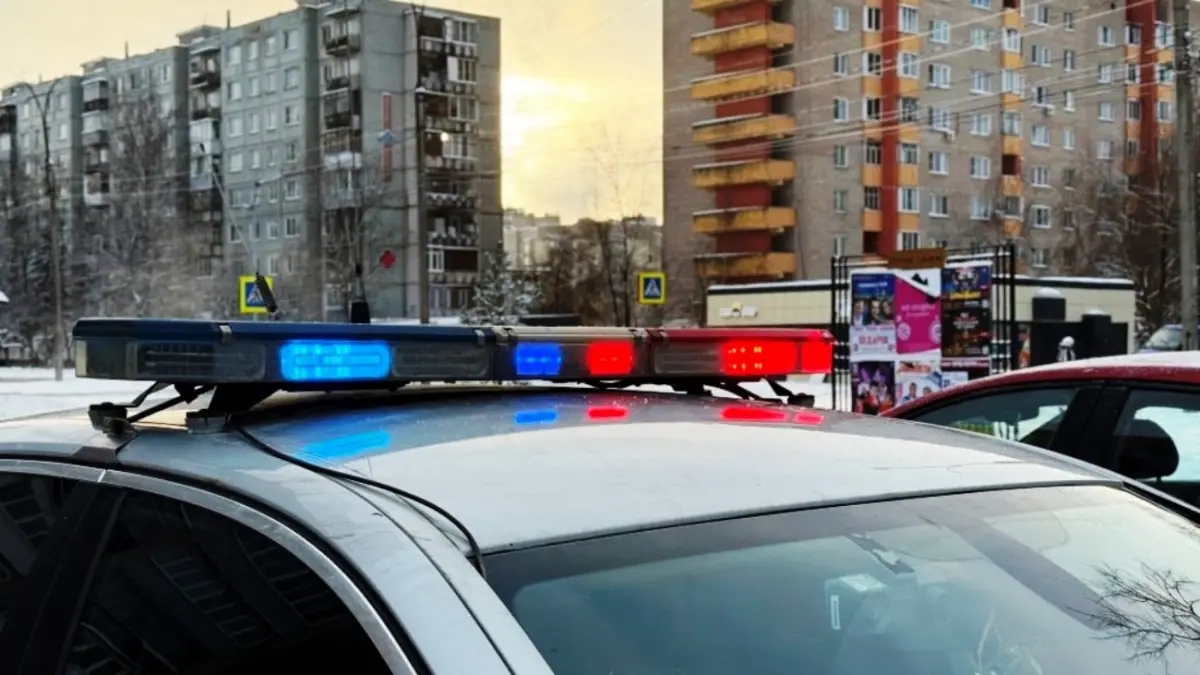 Нетрезвого водителя-рецидивиста задержали в Демянском округе