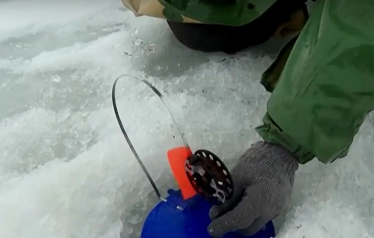 На озере Ильмень запретили использовать жерлицы