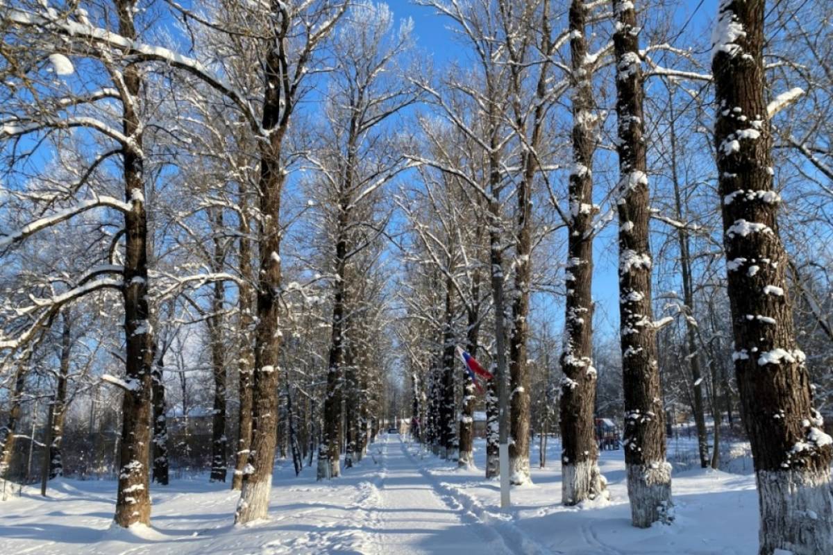 Фото предоставлено ЦРГСНО