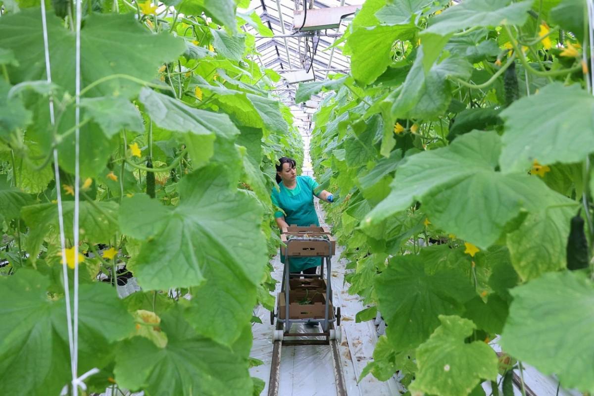 Фотографии пресс-центра правительства Новгородской области