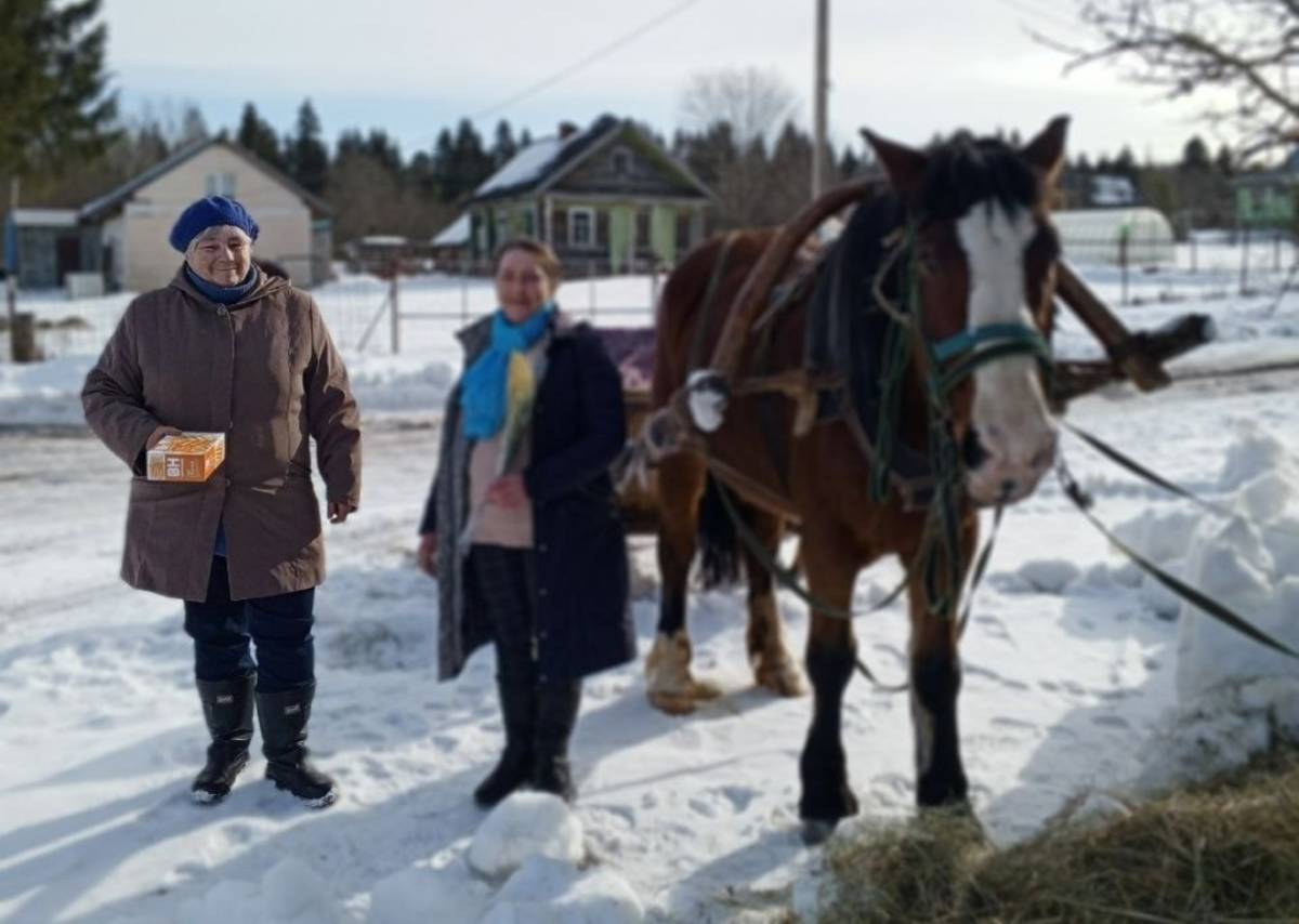 На телеге добирались земляки к бабушкам Маловишерского округа с поздравлениями