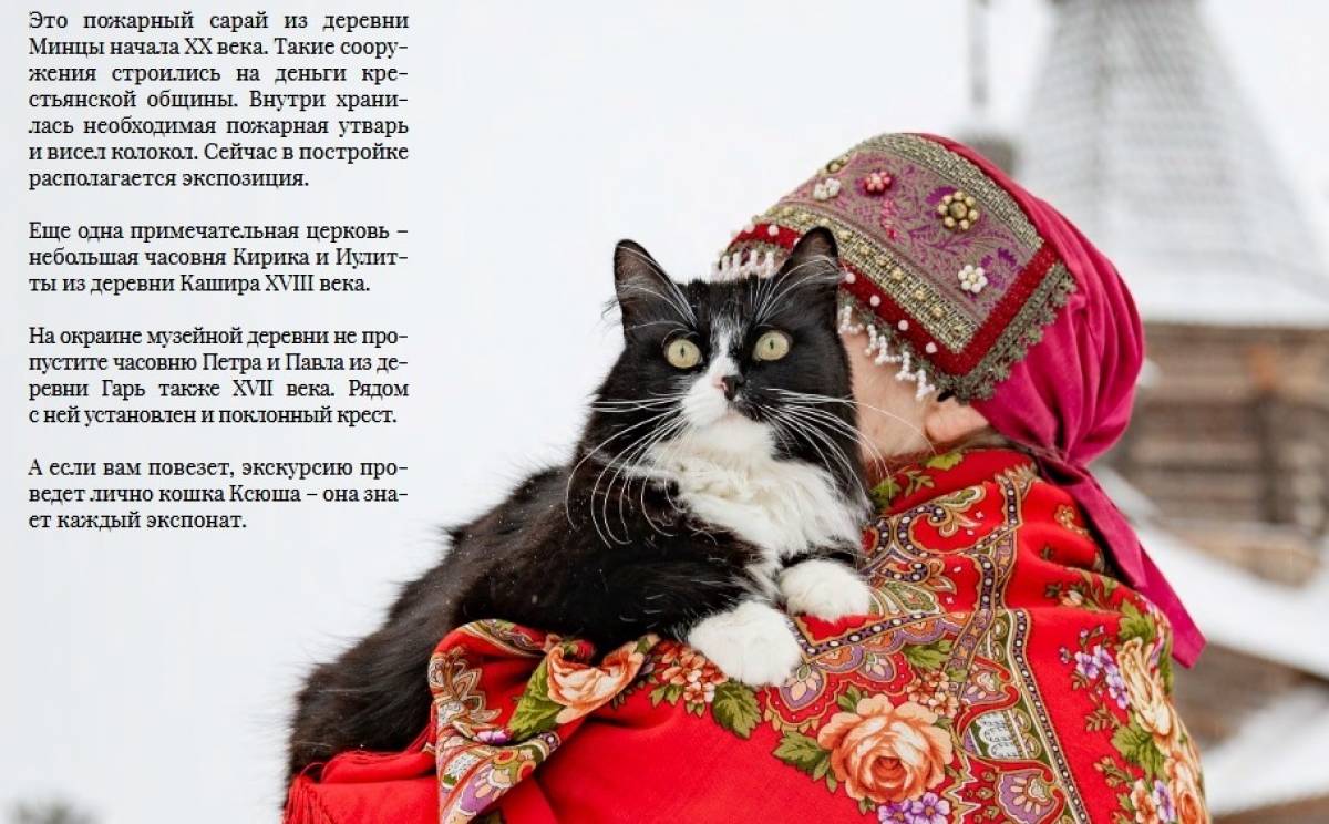 Иллюстрация: фрагмент материала, автор фото Павел Кузьмичёв