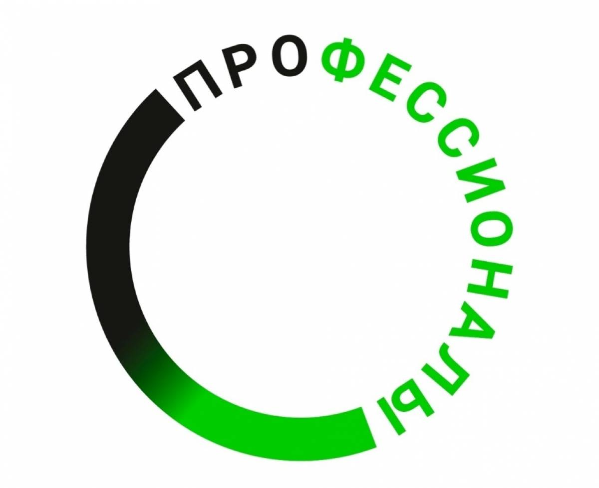 Межрегиональный этап чемпионата «Профессионалы» пройдёт в Новгородской области