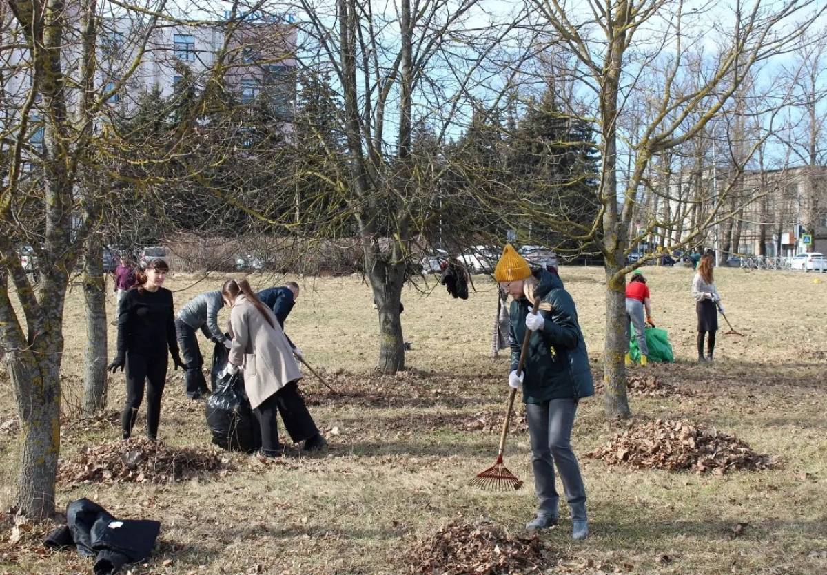 Жители Великого Новгорода и округов участвуют в проекте «Генеральная уборка»