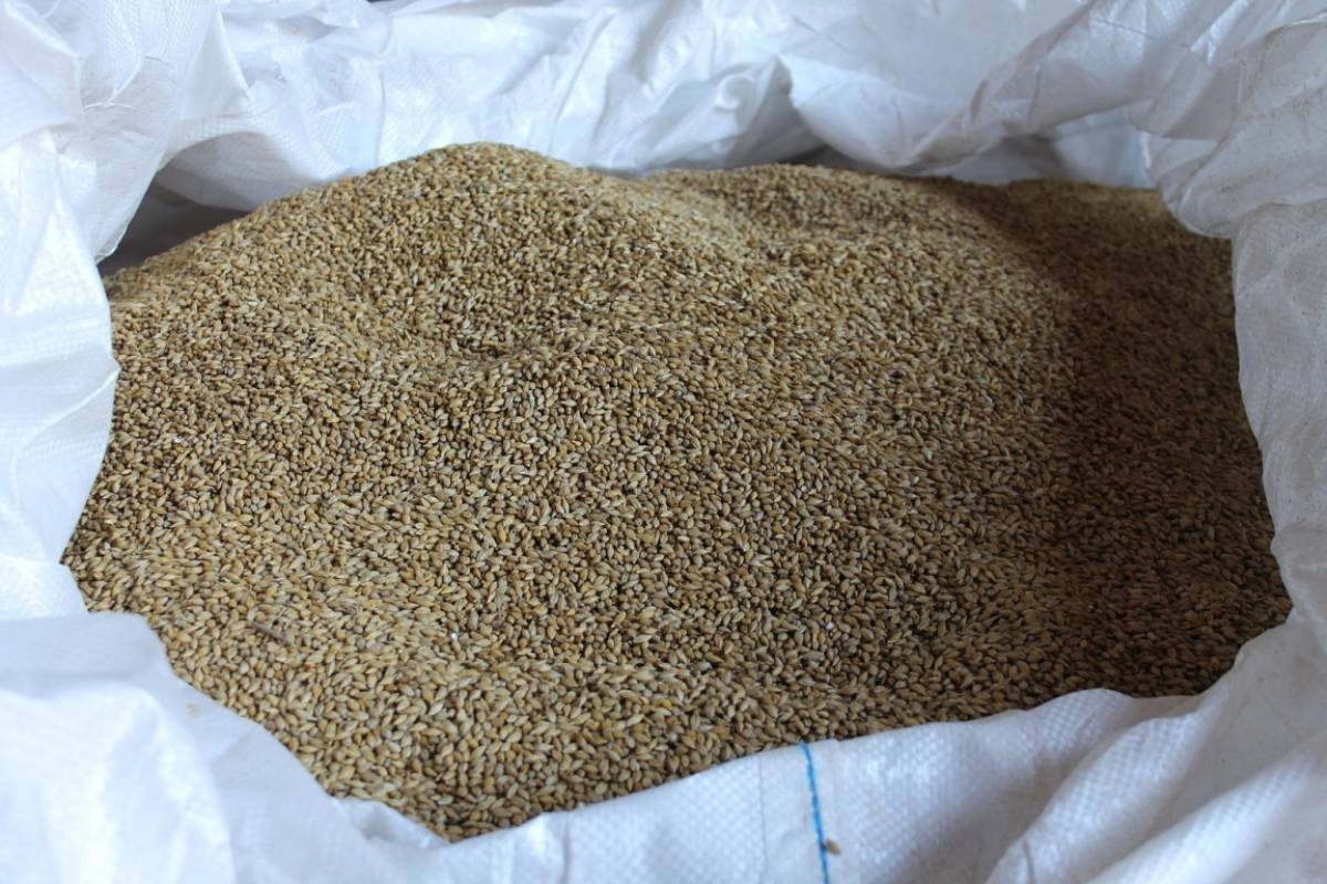 Фотографии пресс-центра правительства Новгородской области