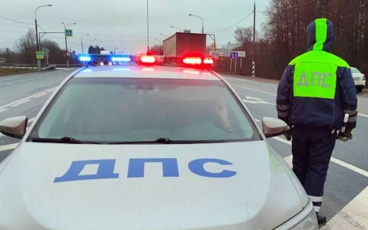 Госавтоинспекторы остановили в Новгородском округе «пьяный» мотовездеход