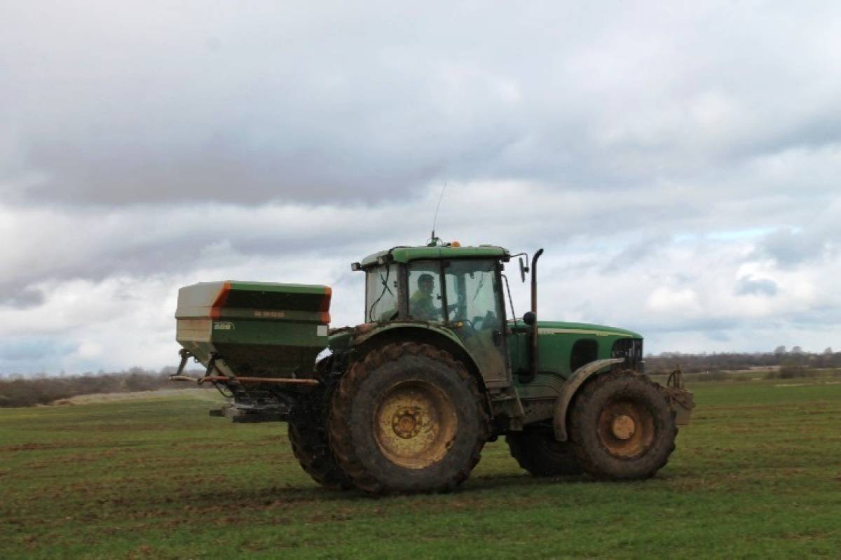 Аграрии Новгородской области начали подкормку озимых зерновых