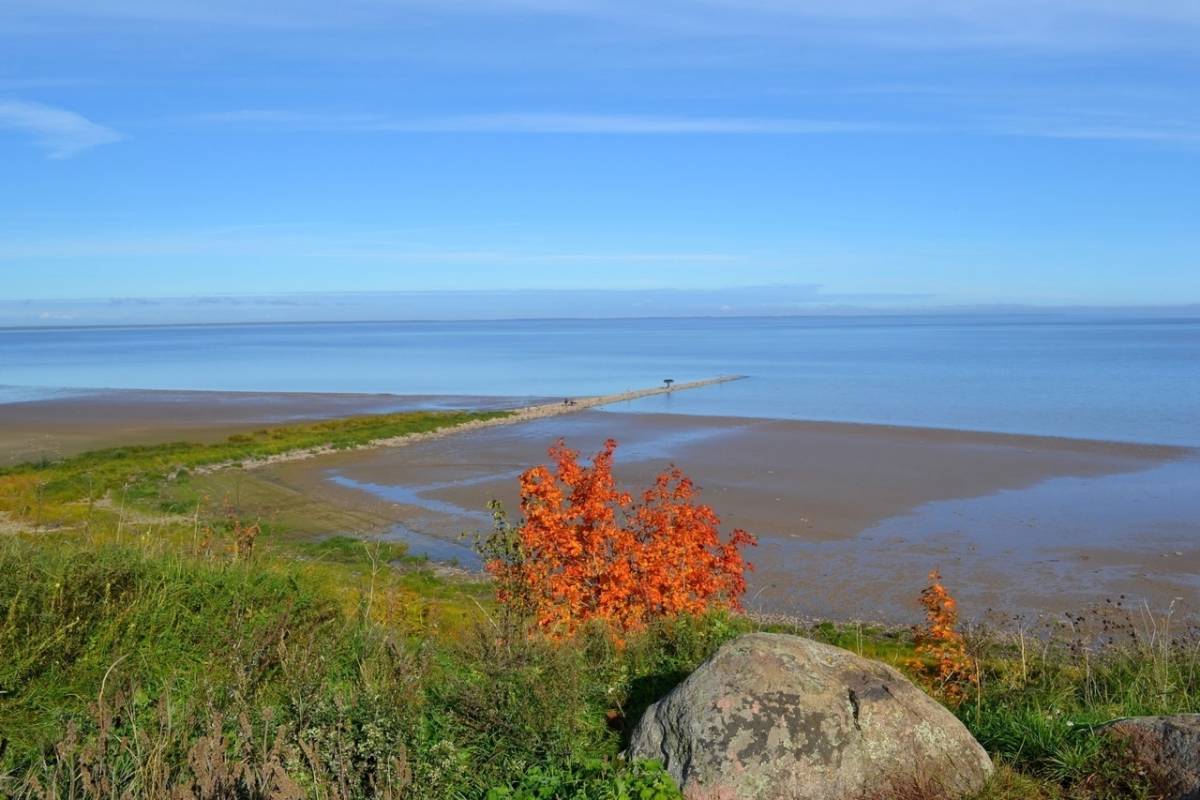 Что стоит посмотреть автопутешественникам в Шимском округе?