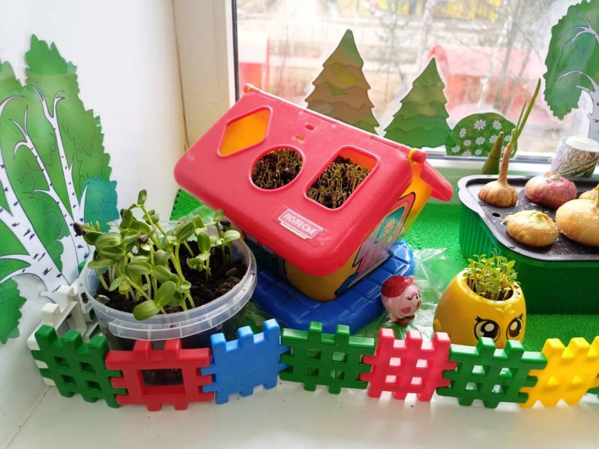 Фото: поддорский детсад «Колобок»