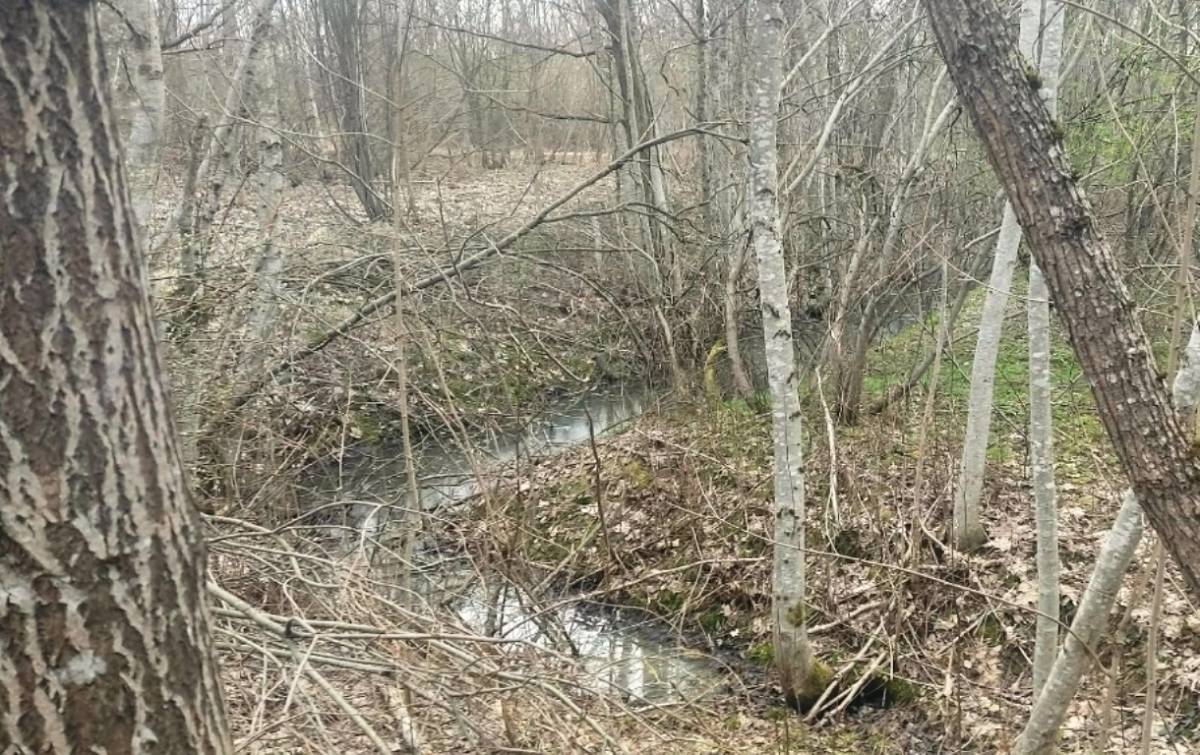 Жители Валдая проведут сегодня субботник у святого источника