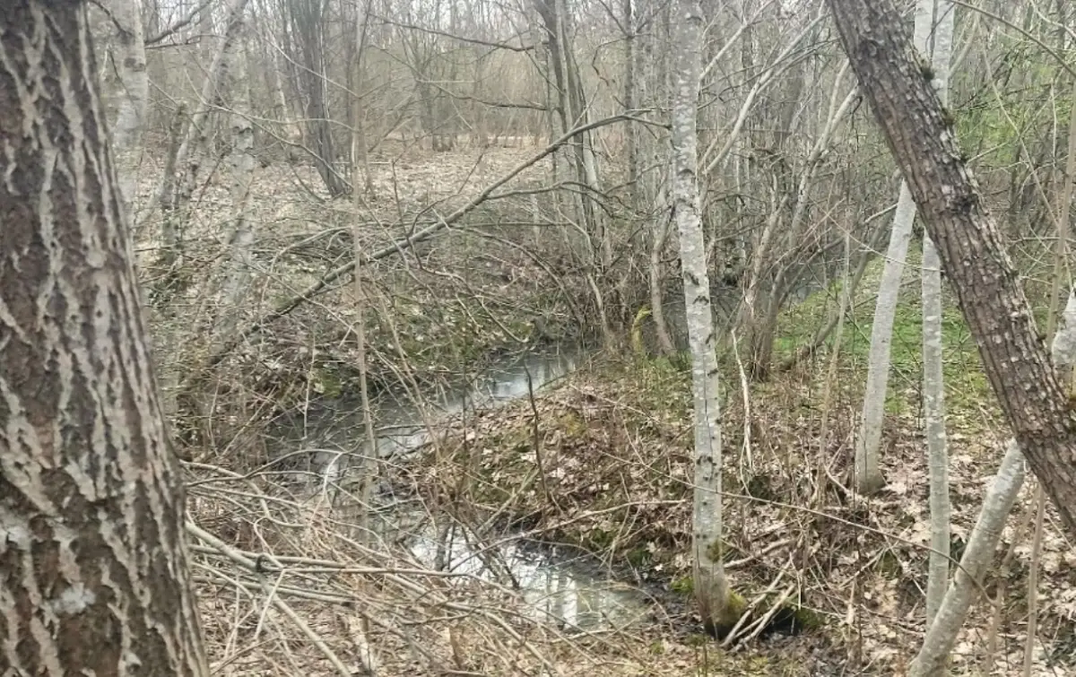 Жители Валдая проведут сегодня субботник у святого источника