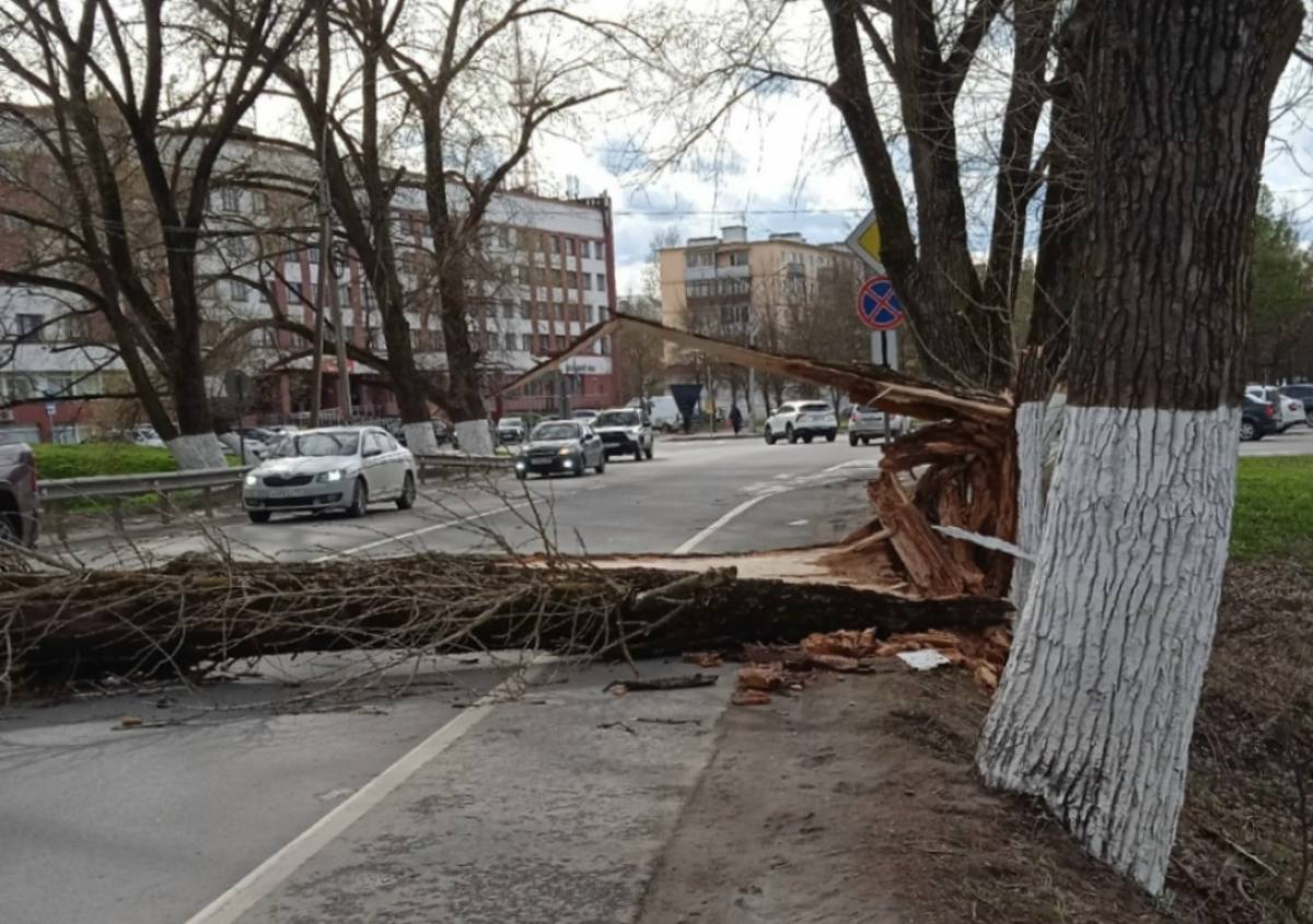 Фотографии читателя