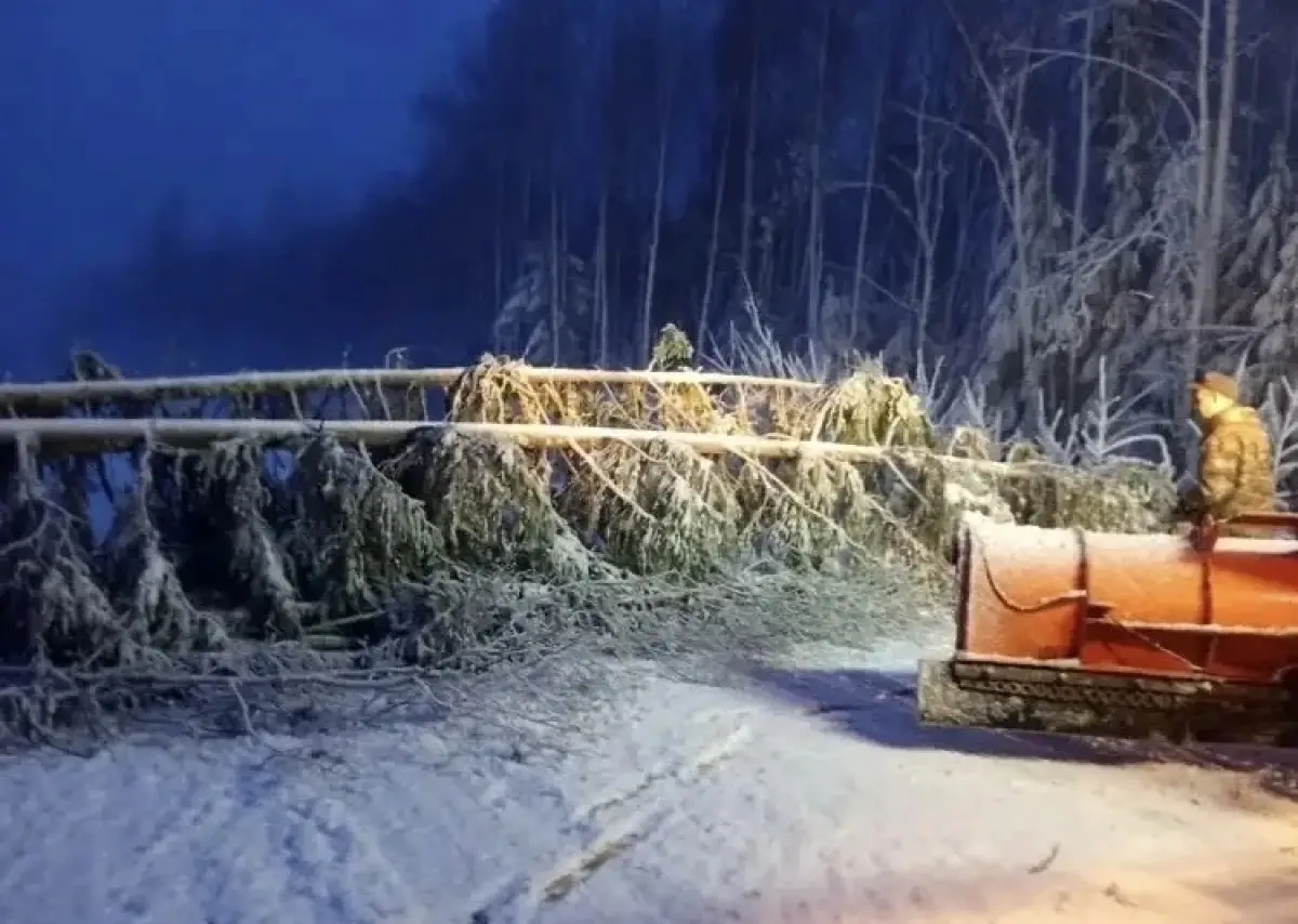 Новгородские дороги освобождают от упавших деревьев и снега