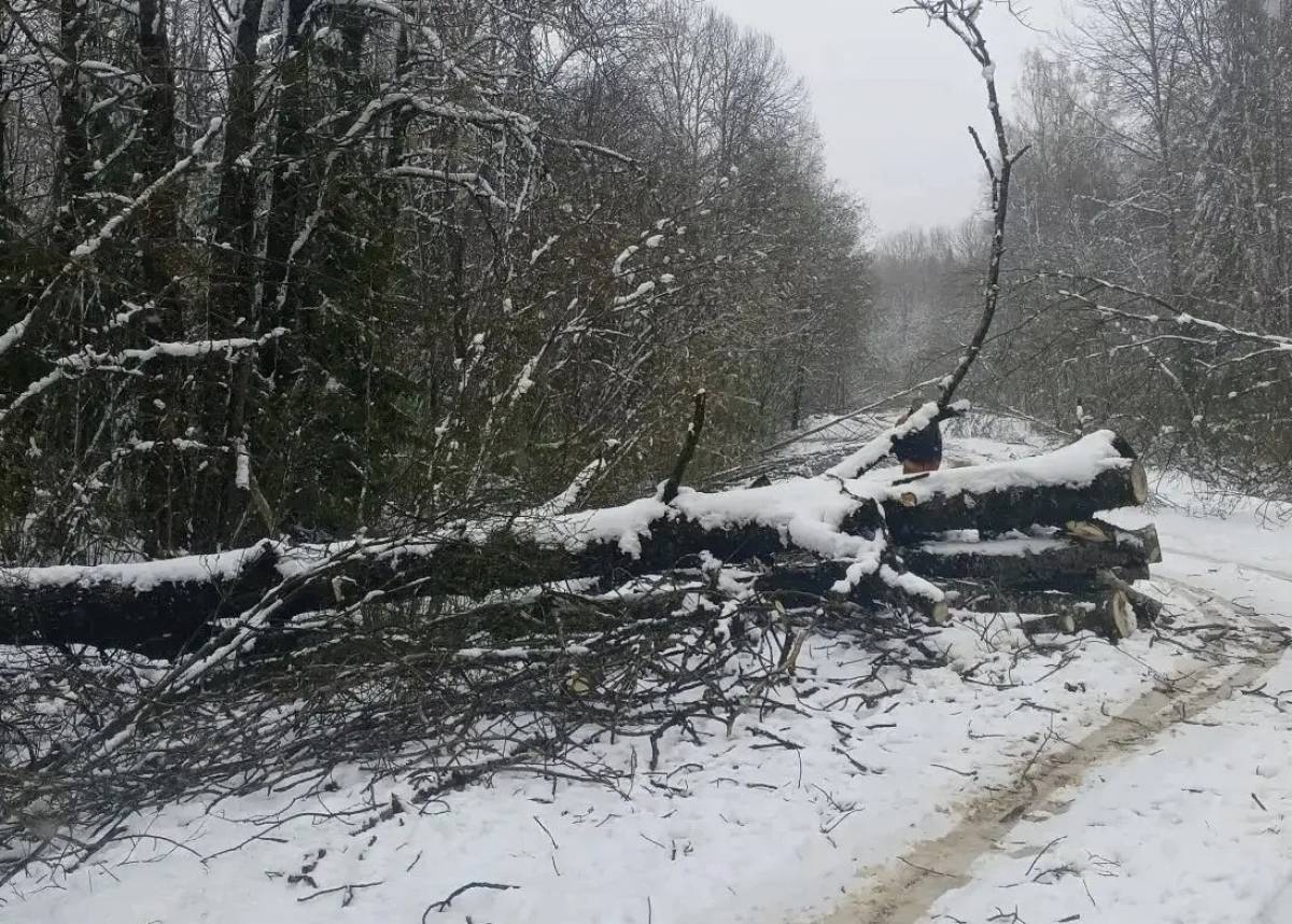 Фотографии минтранса Новгородской области