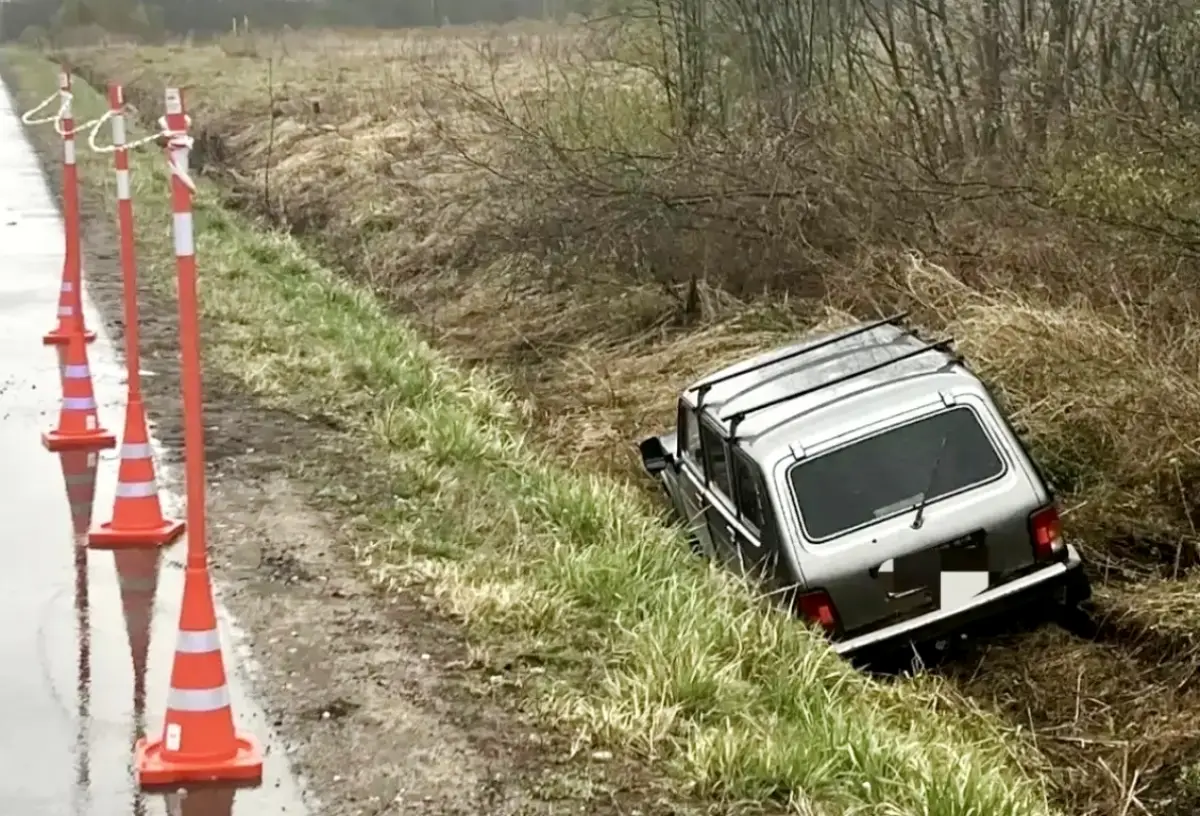 Праздник с алкоголем — не для водителей