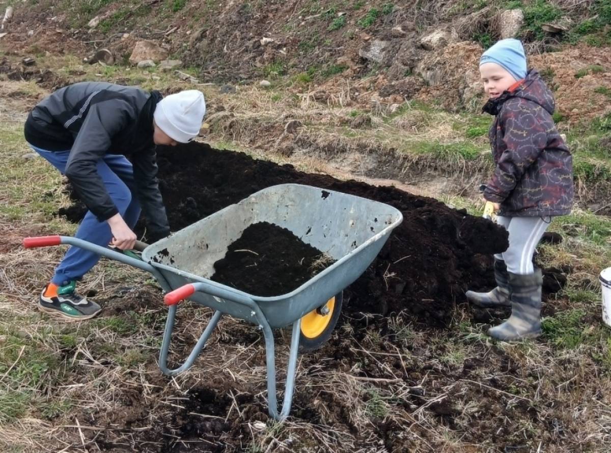 Фото: ТОС «Молодёжный»