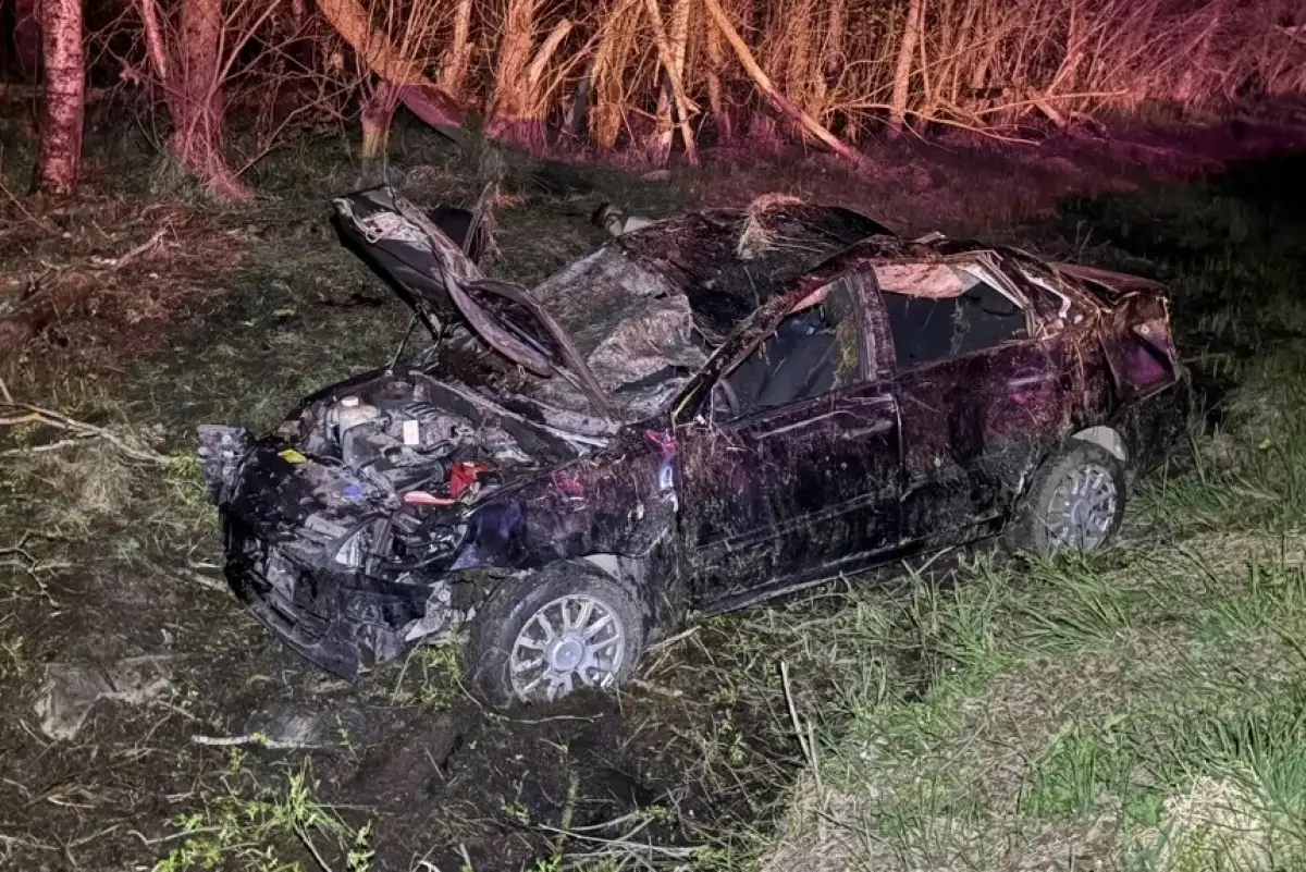 Молодой водитель погиб в Старорусском округе при столкновении авто с лосём