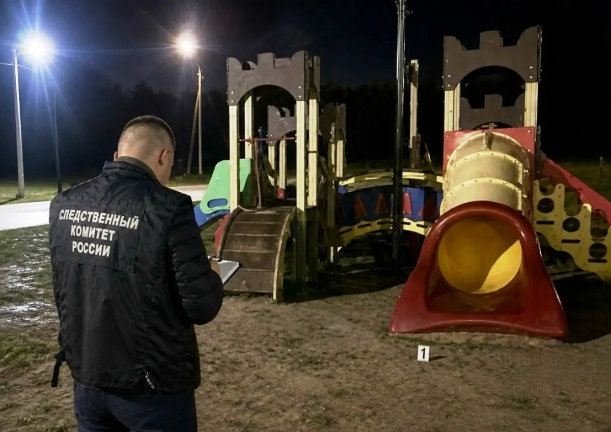 В Новгородской области во время прогулки погибла маленькая девочка
