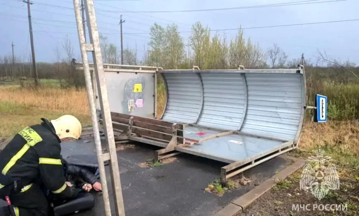 В Новгородском округе ветер опрокинул остановку на мужчину