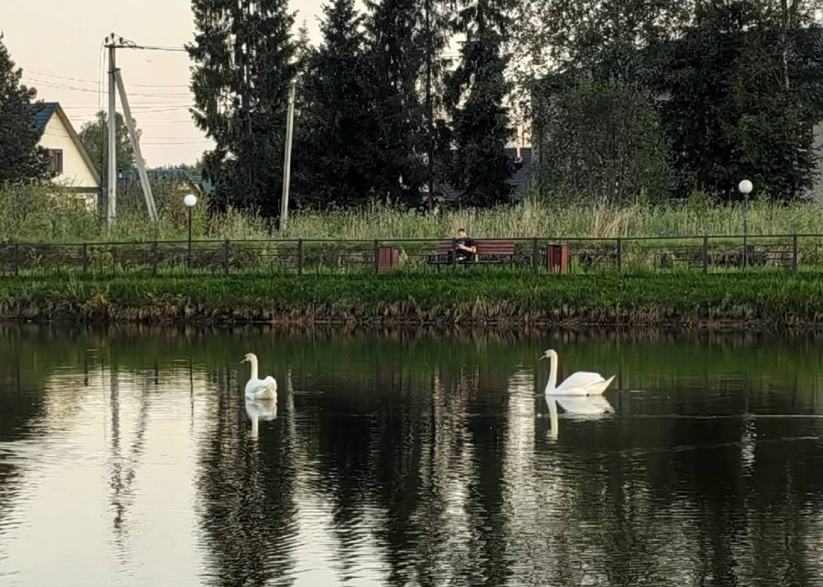 Фото: ВК-страница Сергея Яковлева