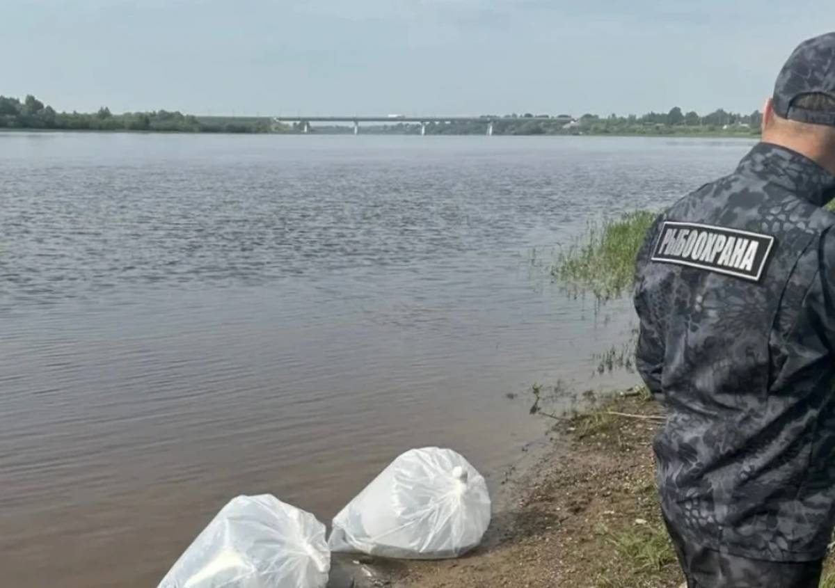Фотографии минтранса Новгородской области
