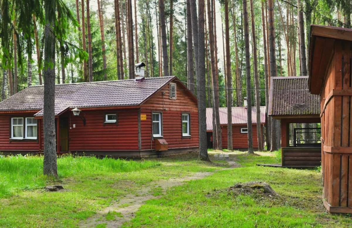 Комиссия по приёмке посетила детский лагерь «Былина» в Новгородском округе